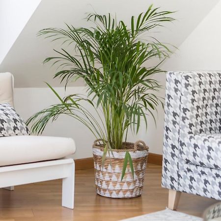 Apartamento Boutique Con Terraza Y Vistas Al Mar. Porto Vilanova 비야누에바 데 아로사 외부 사진